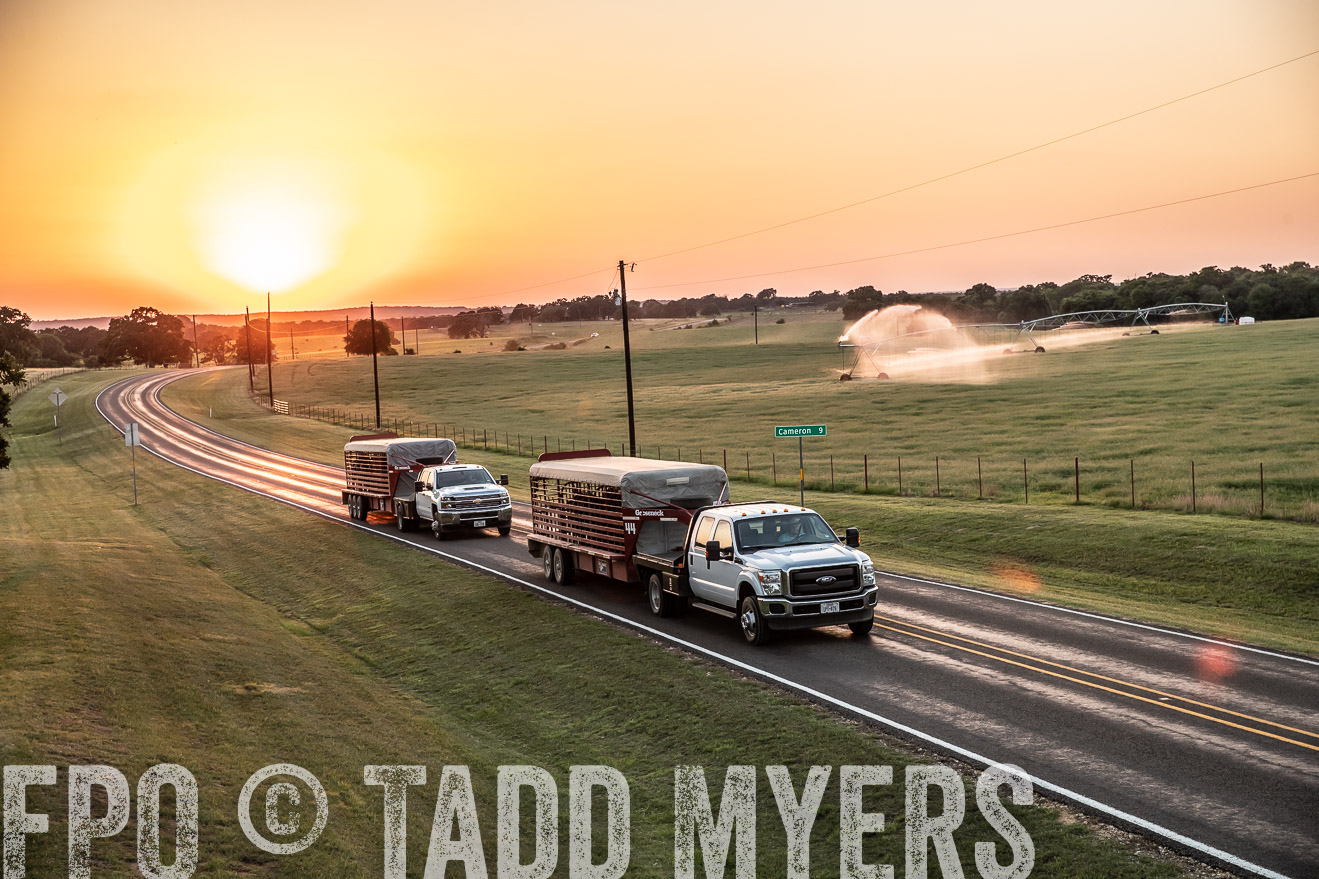 TMyers_44Farms_June2018-3246