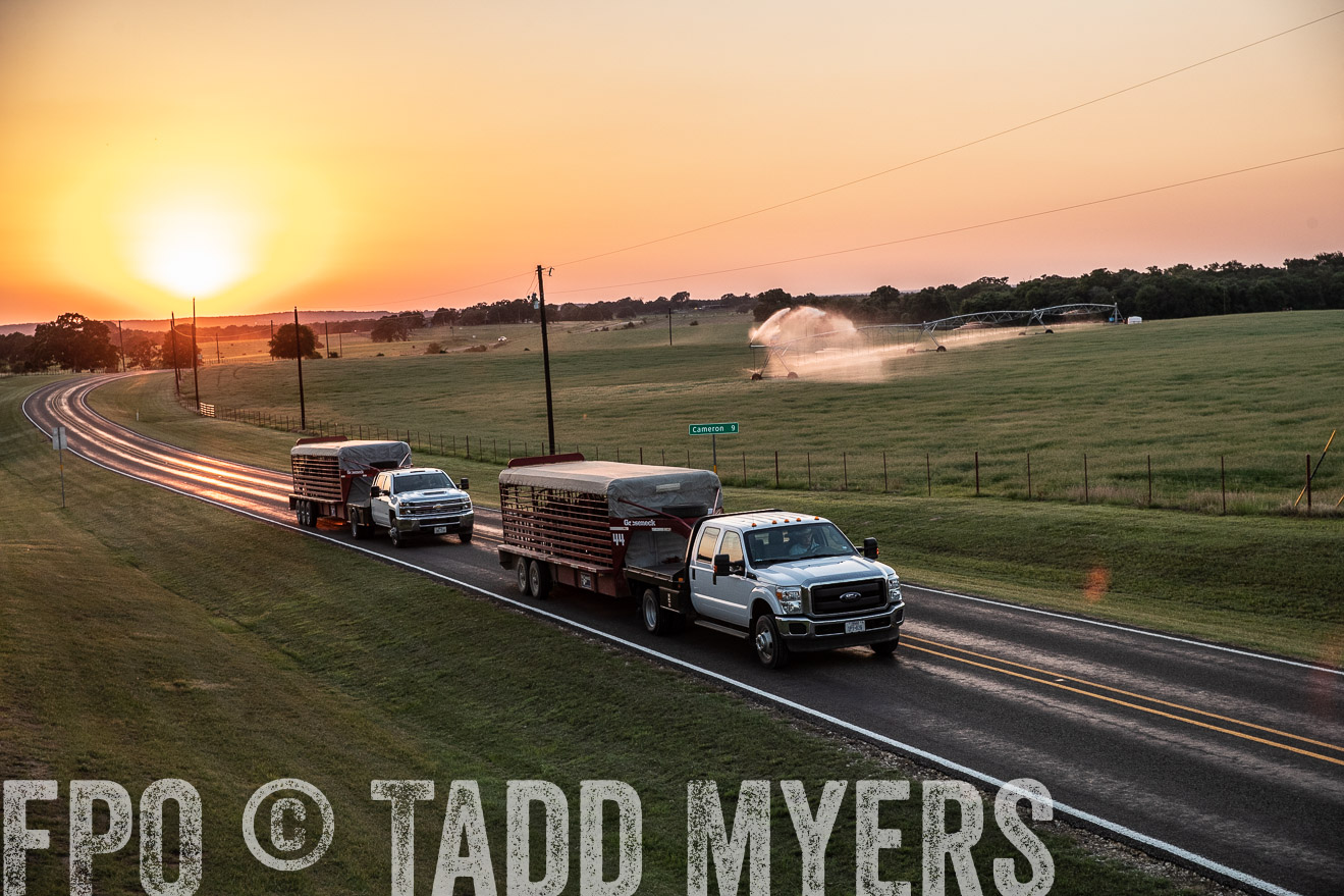 TMyers_44Farms_June2018-3253