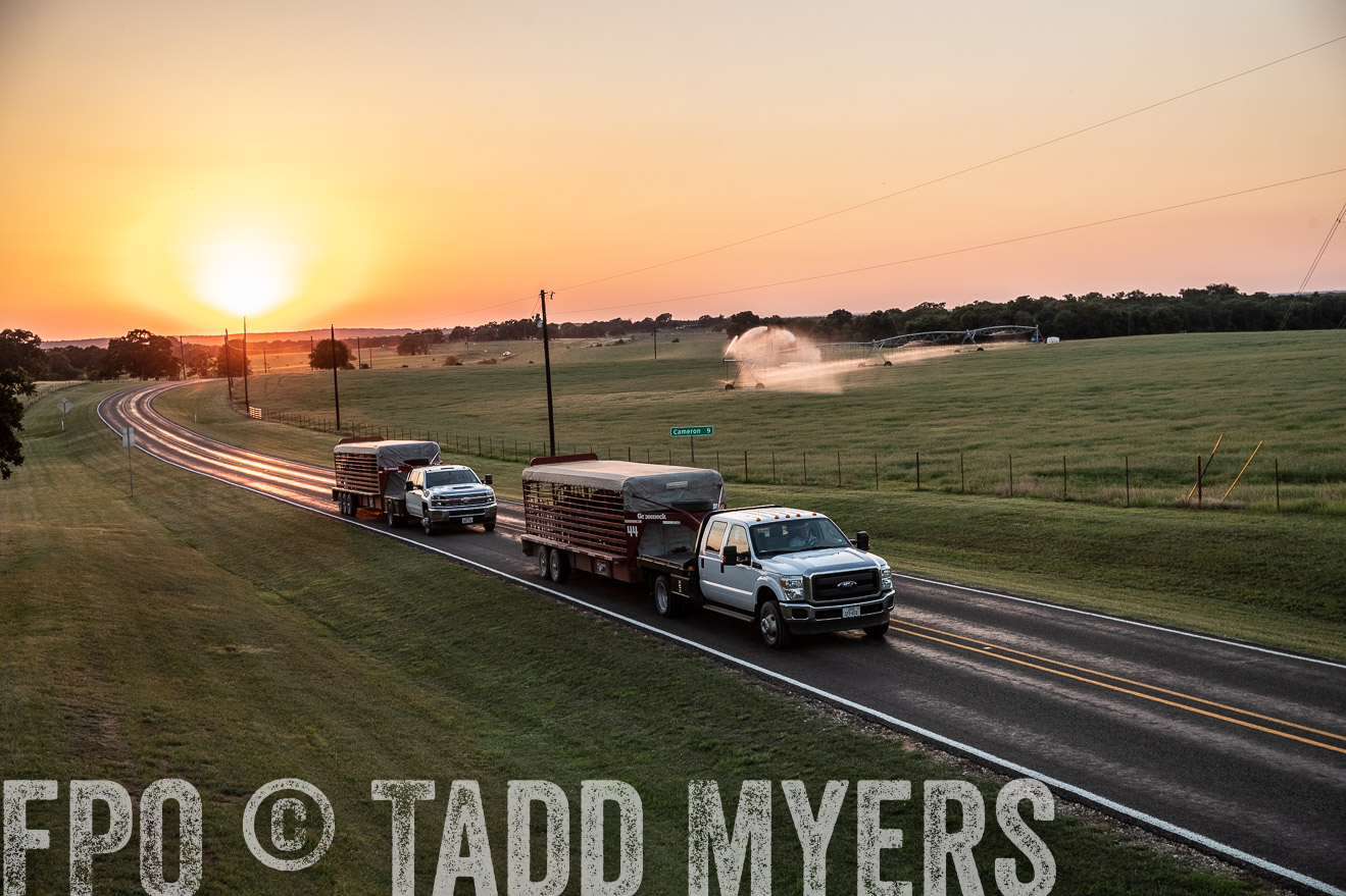 TMyers_44Farms_June2018-3256