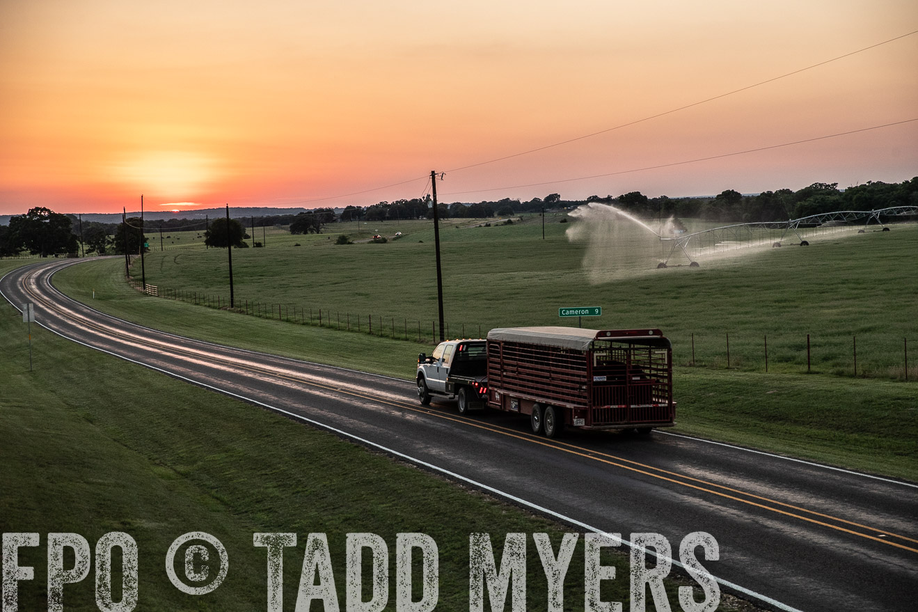 TMyers_44Farms_June2018-3374