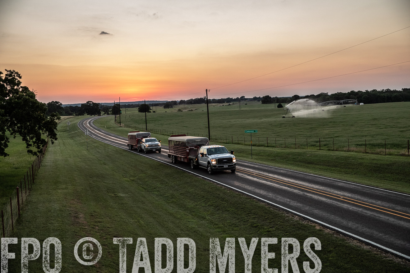TMyers_44Farms_June2018-3439