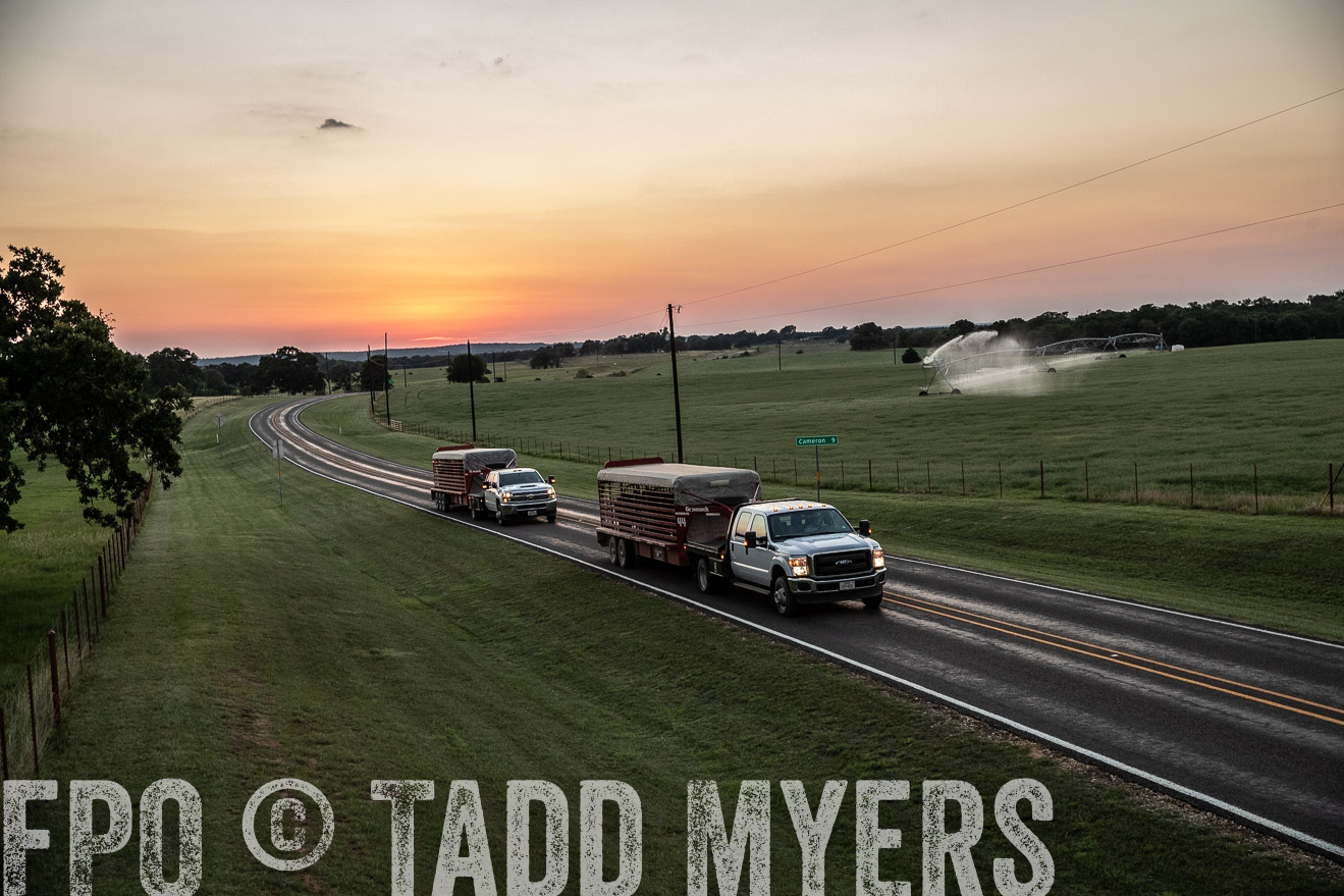 TMyers_44Farms_June2018-3452