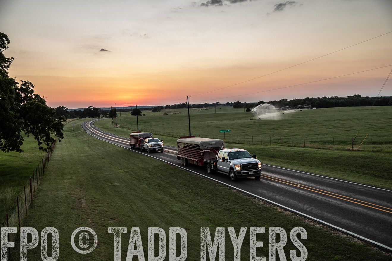 TMyers_44Farms_June2018-3457
