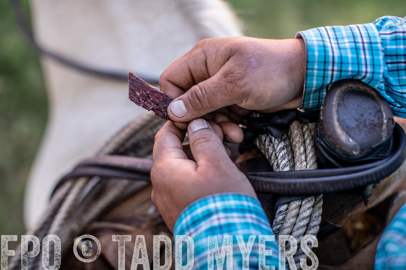 TMyers_44Farms_June2018-5739
