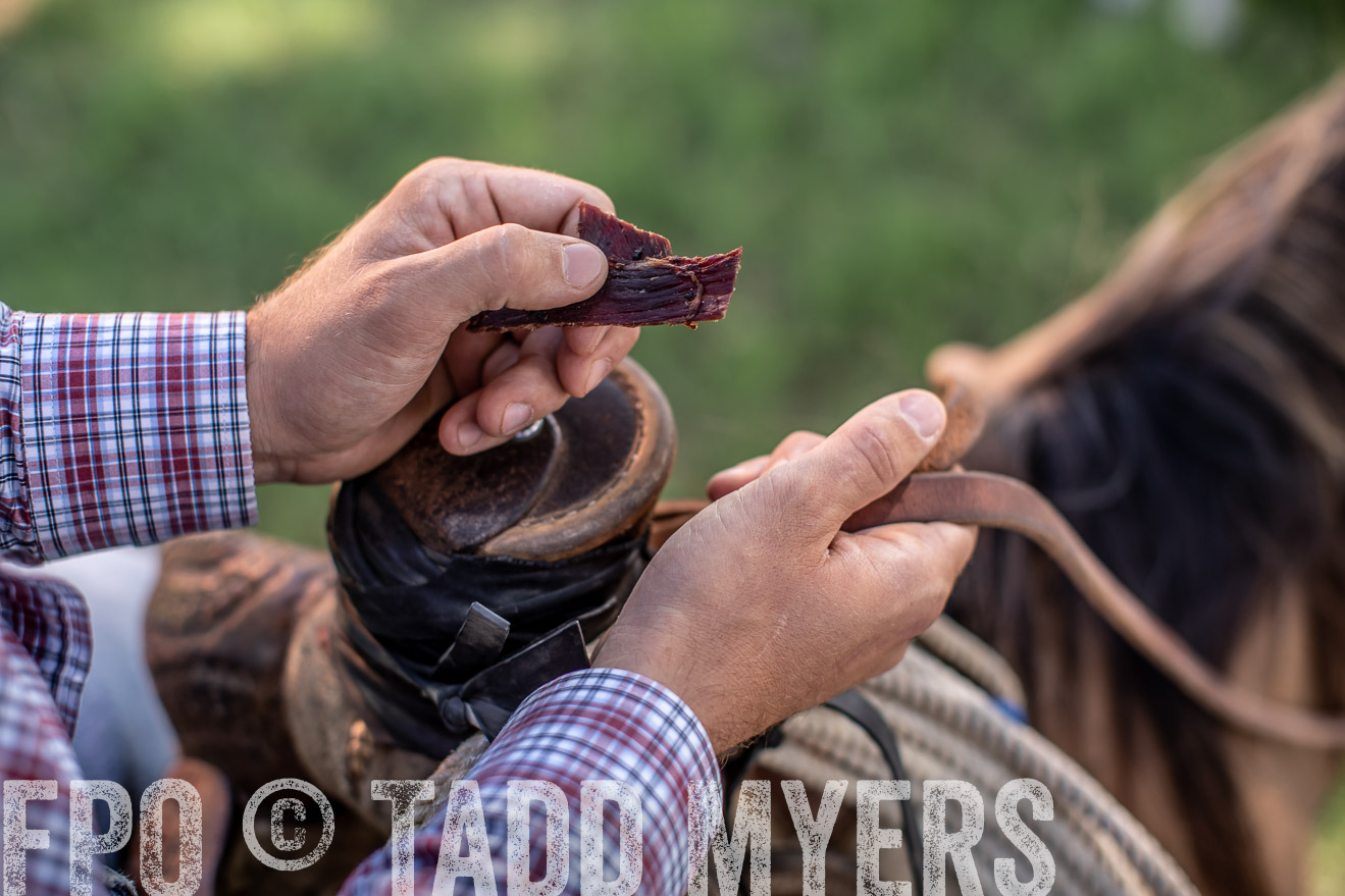TMyers_44Farms_June2018-5827