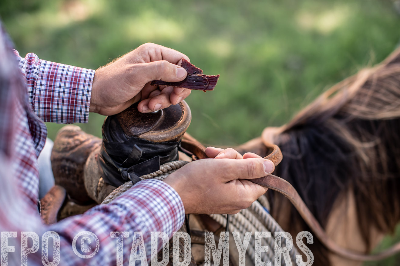 TMyers_44Farms_June2018-5833