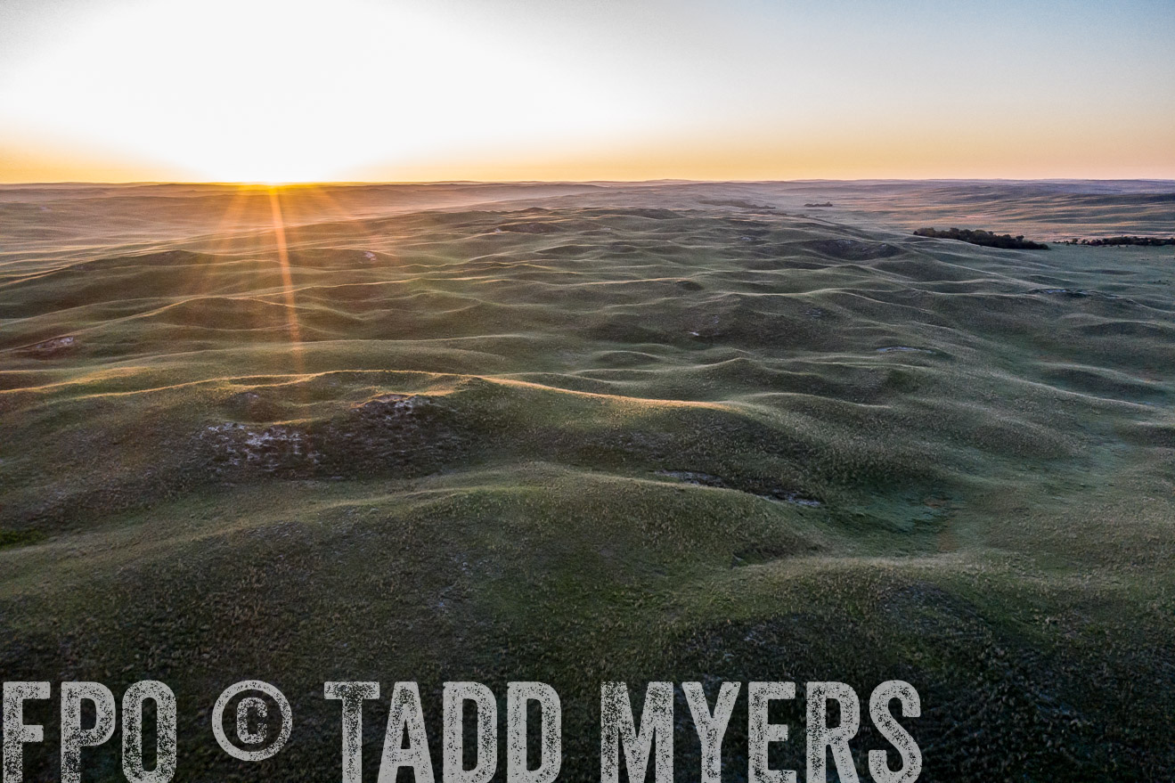 PP_TuckerRanch_NE_July2019-0336