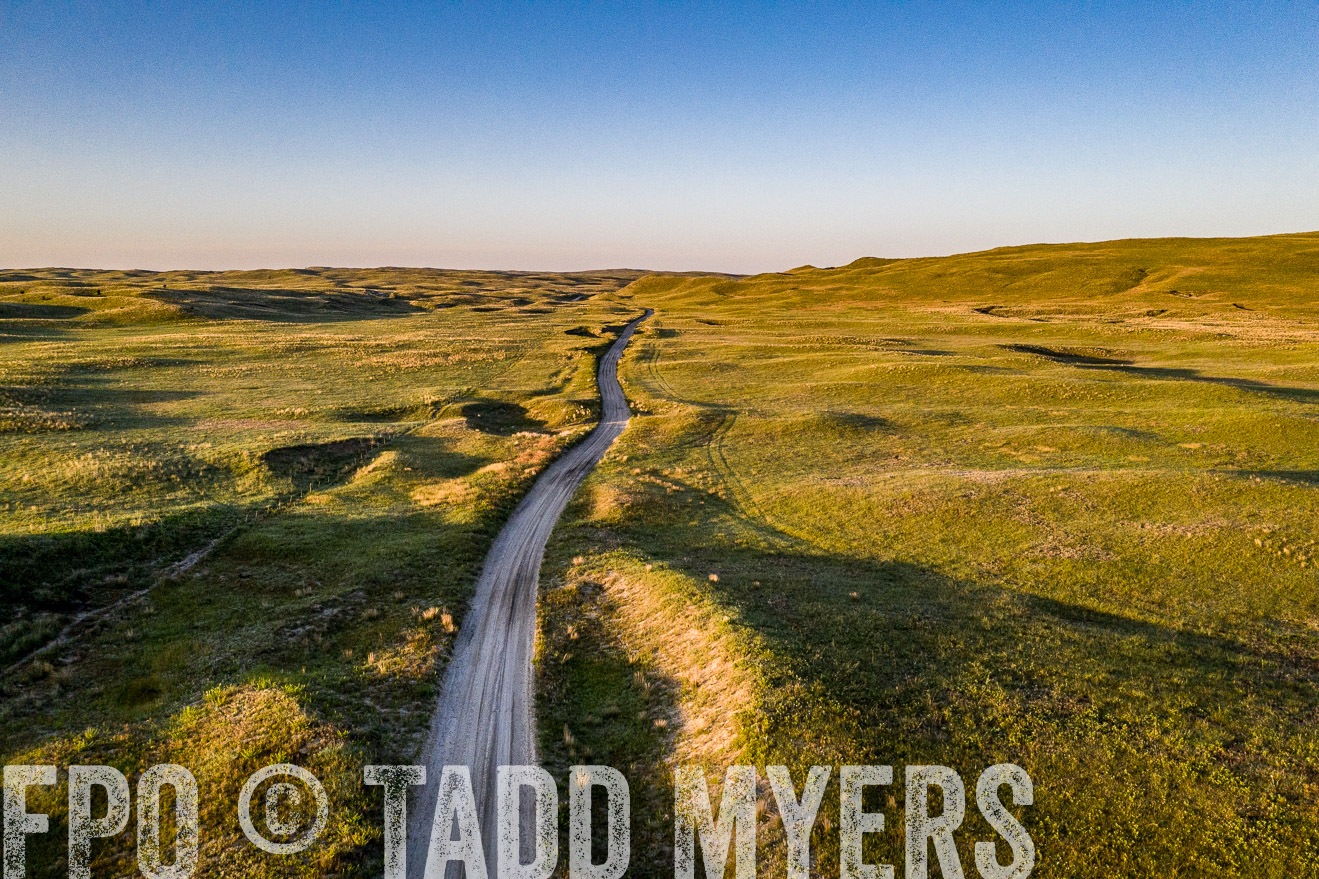 PP_TuckerRanch_NE_July2019-0414