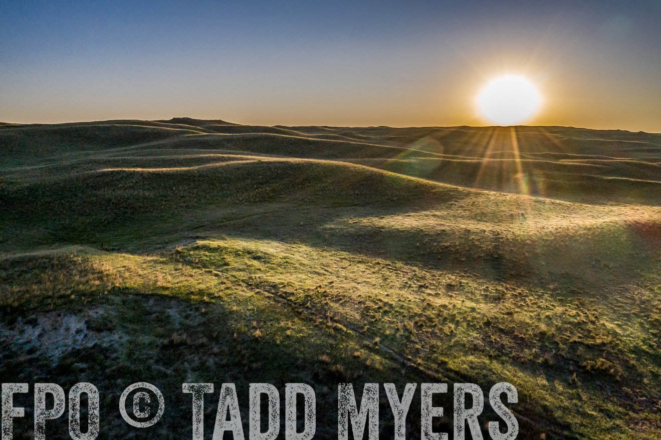 PP_TuckerRanch_NE_July2019-0417