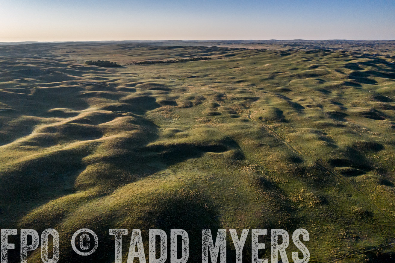 PP_TuckerRanch_NE_July2019-0477