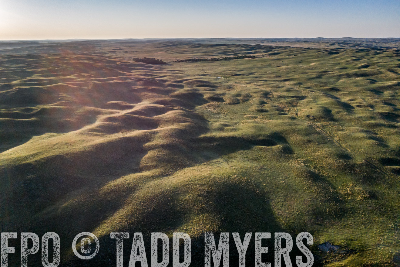 PP_TuckerRanch_NE_July2019-0480