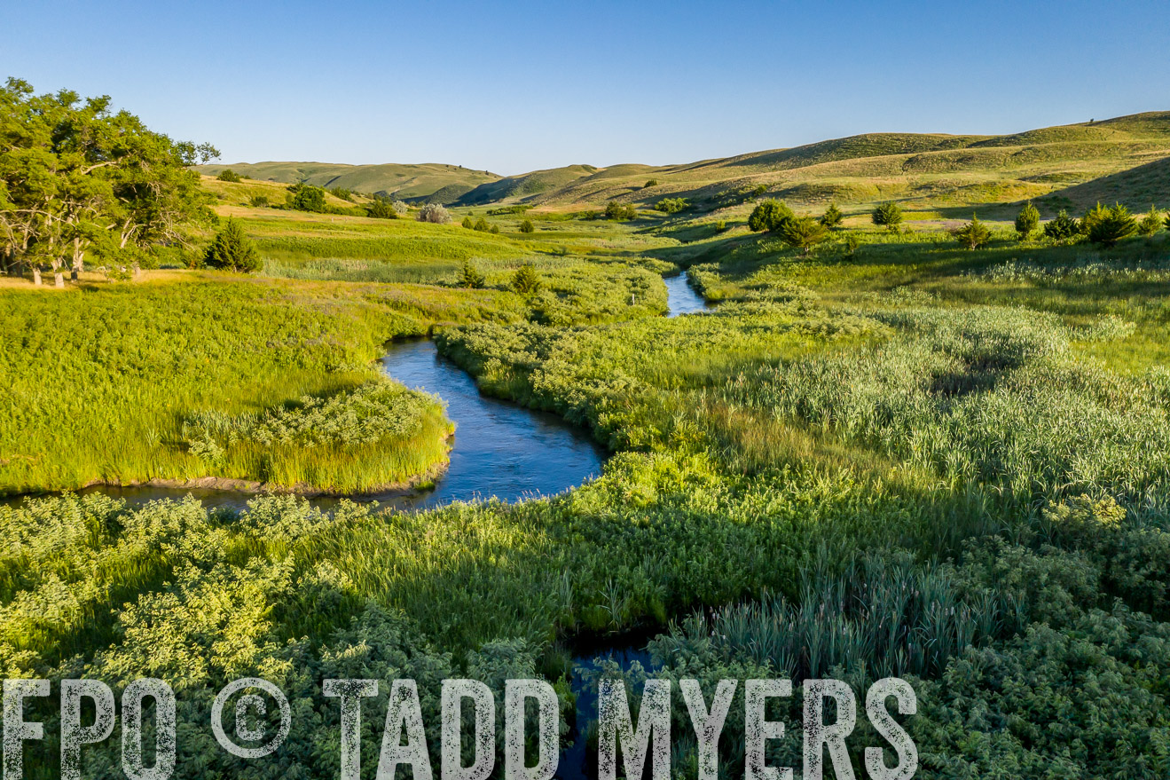 PP_TuckerRanch_NE_July2019-0536