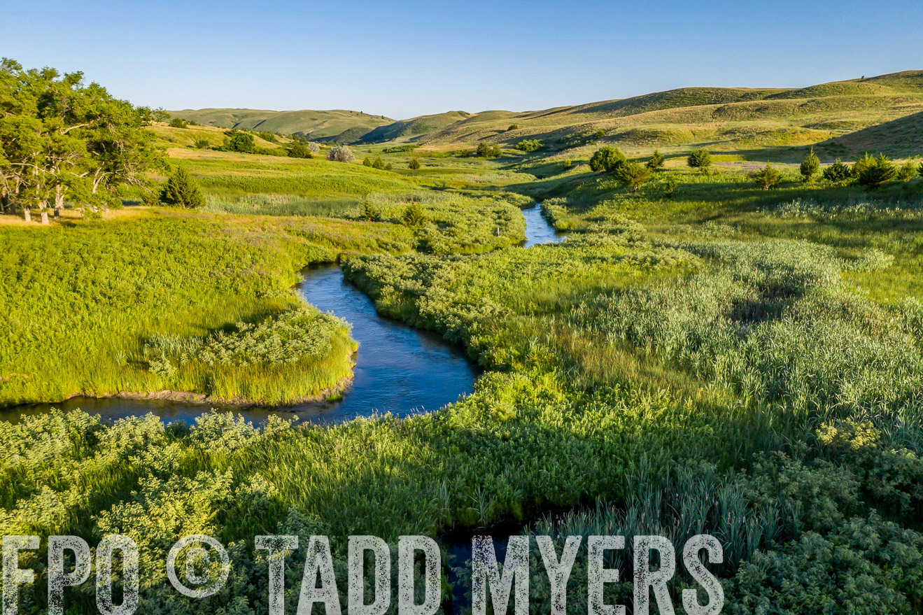 PP_TuckerRanch_NE_July2019-0539