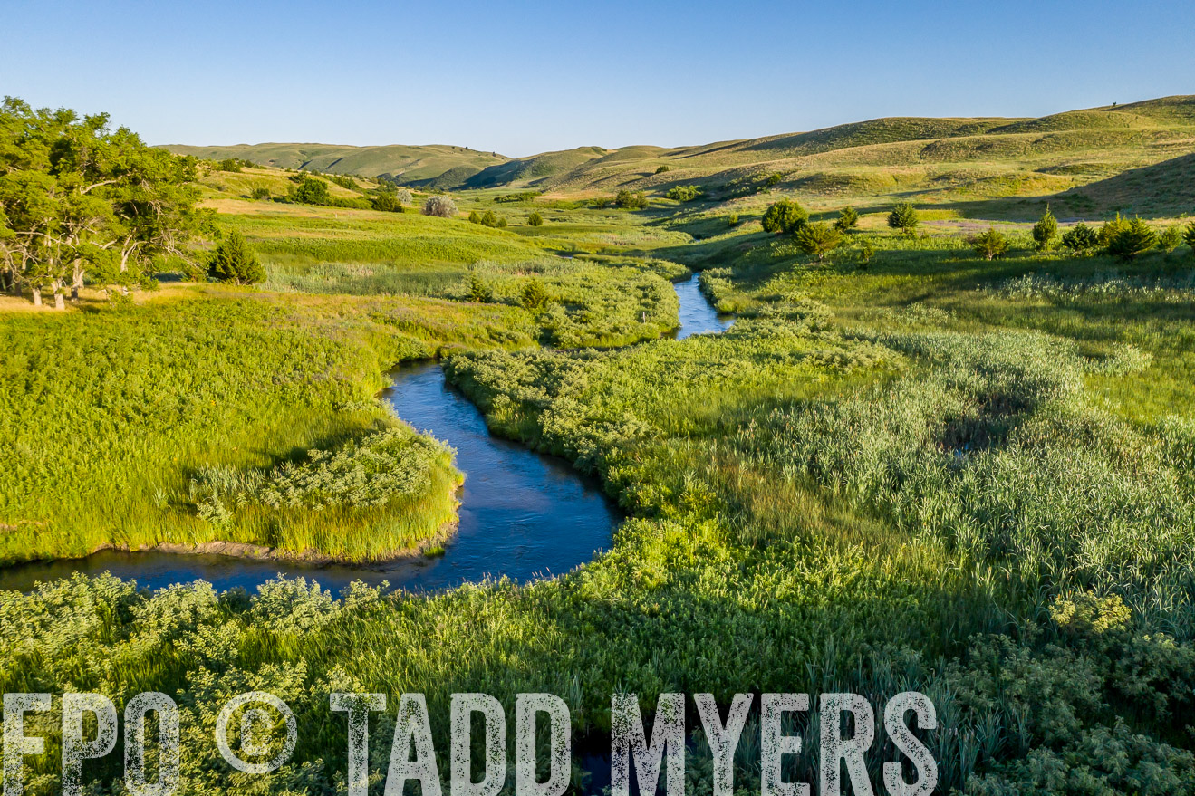 PP_TuckerRanch_NE_July2019-0542