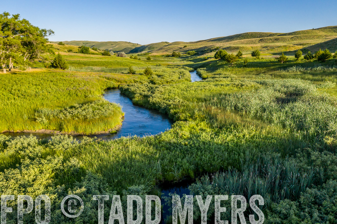 PP_TuckerRanch_NE_July2019-0548