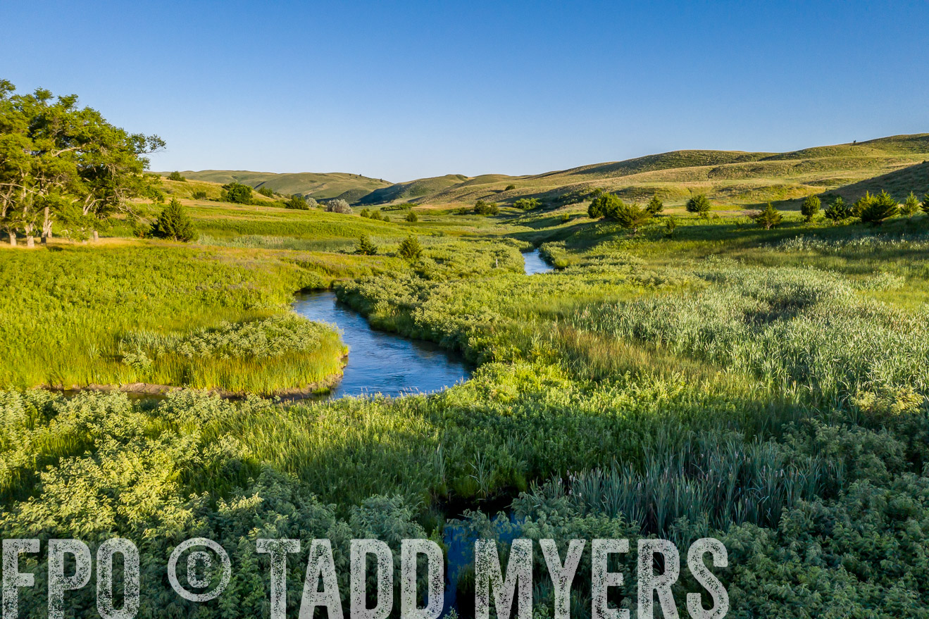 PP_TuckerRanch_NE_July2019-0551