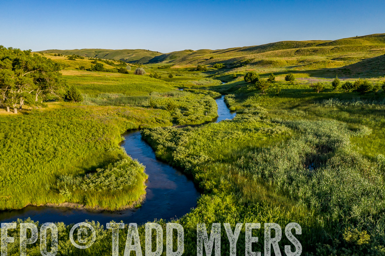 PP_TuckerRanch_NE_July2019-0556