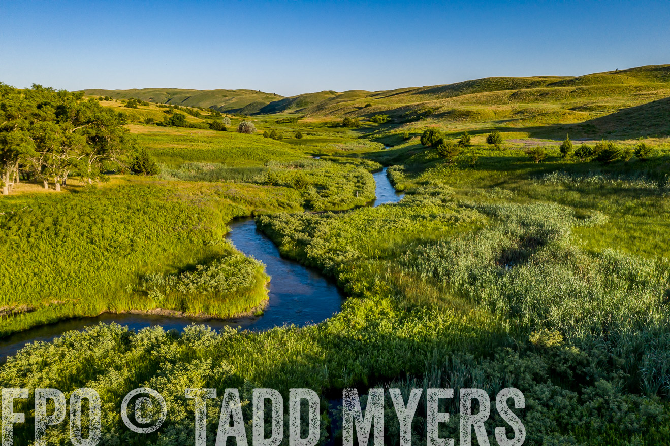 PP_TuckerRanch_NE_July2019-0562