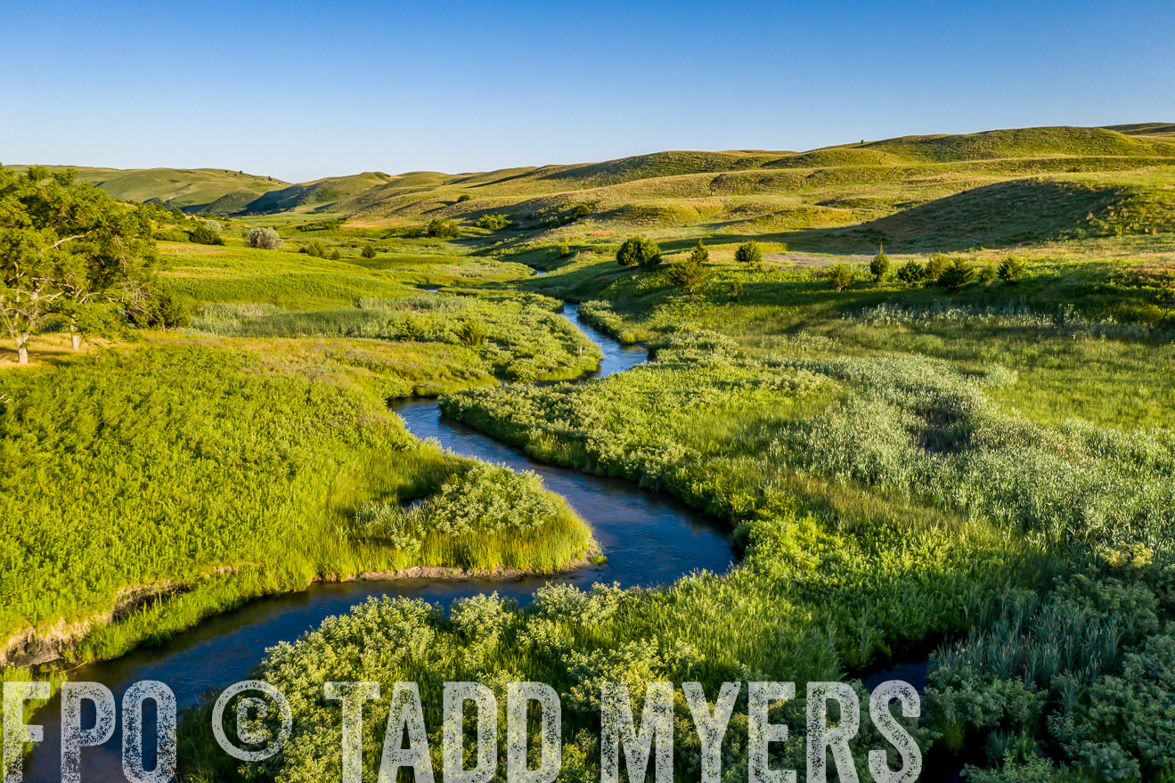 PP_TuckerRanch_NE_July2019-0565