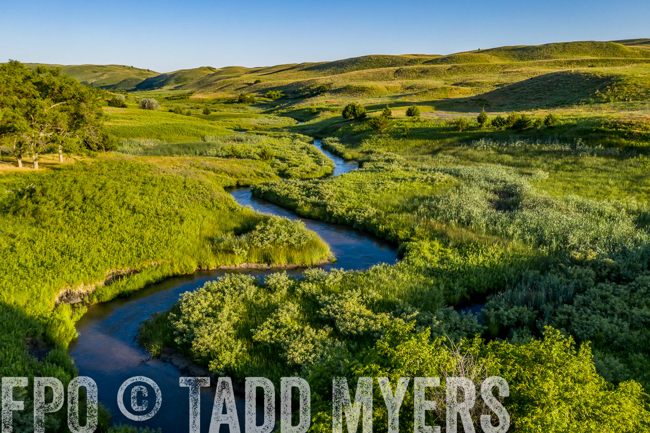 PP_TuckerRanch_NE_July2019-0568