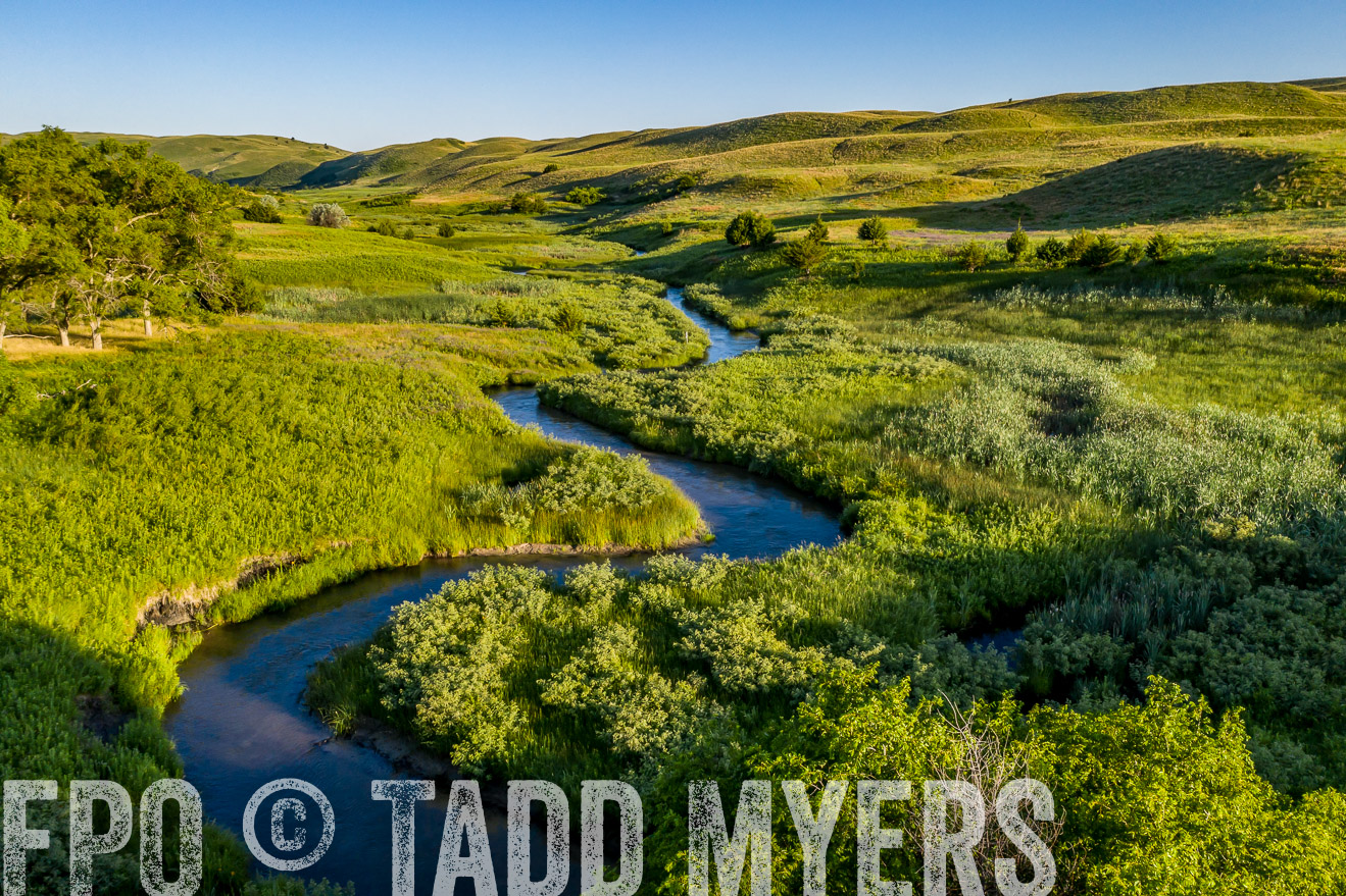PP_TuckerRanch_NE_July2019-0571