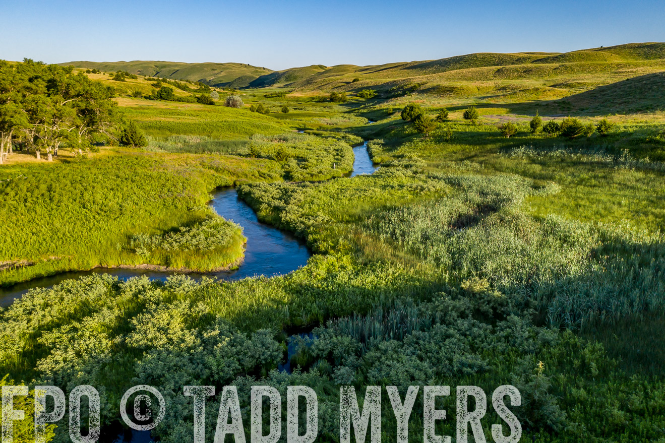 PP_TuckerRanch_NE_July2019-0574