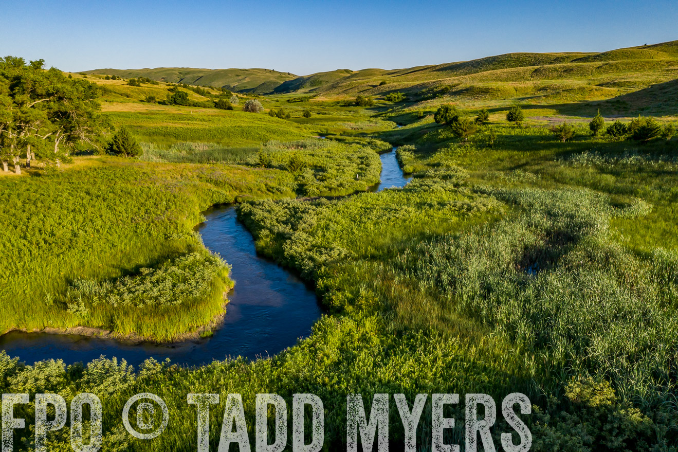 PP_TuckerRanch_NE_July2019-0581