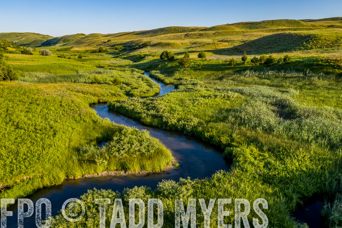 PP_TuckerRanch_NE_July2019-0586