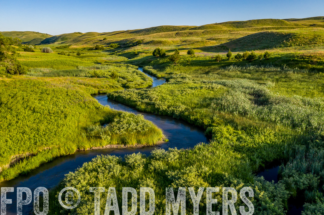 PP_TuckerRanch_NE_July2019-0589