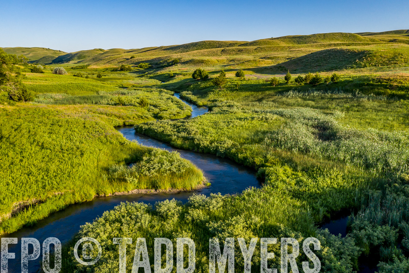 PP_TuckerRanch_NE_July2019-0592