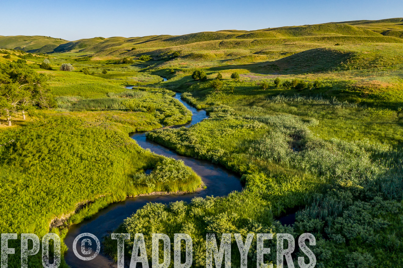 PP_TuckerRanch_NE_July2019-0595