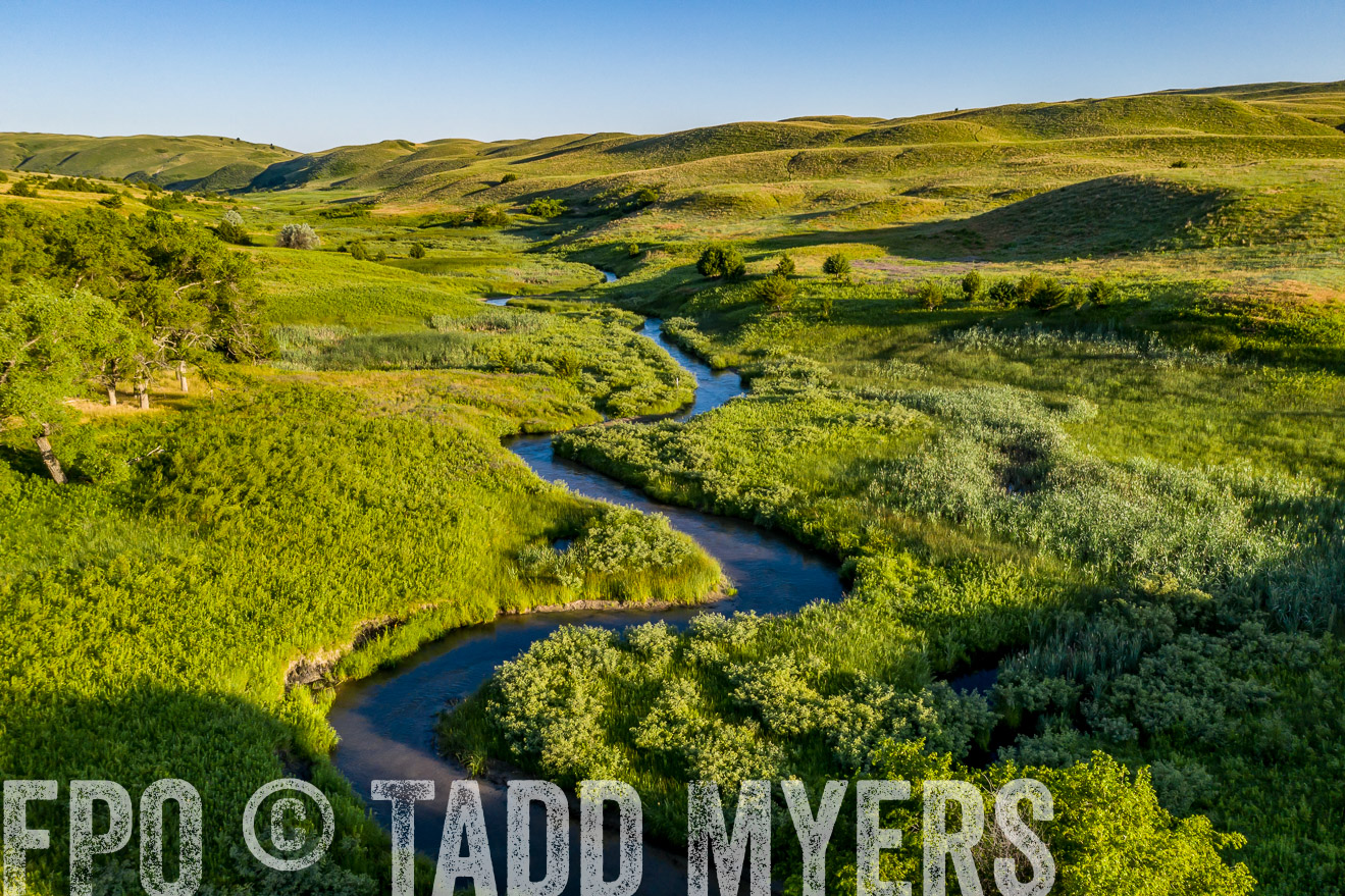 PP_TuckerRanch_NE_July2019-0601