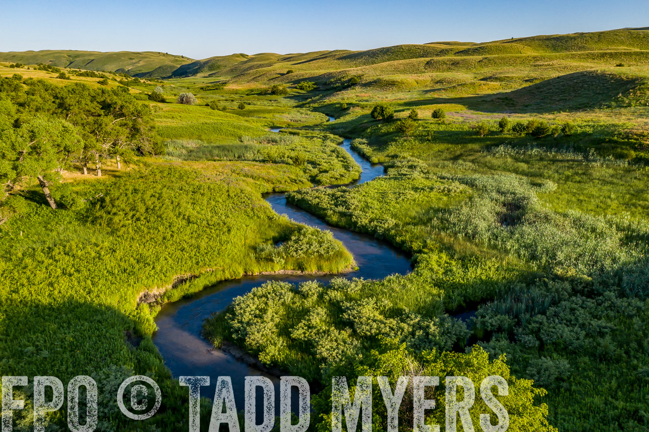 PP_TuckerRanch_NE_July2019-0604