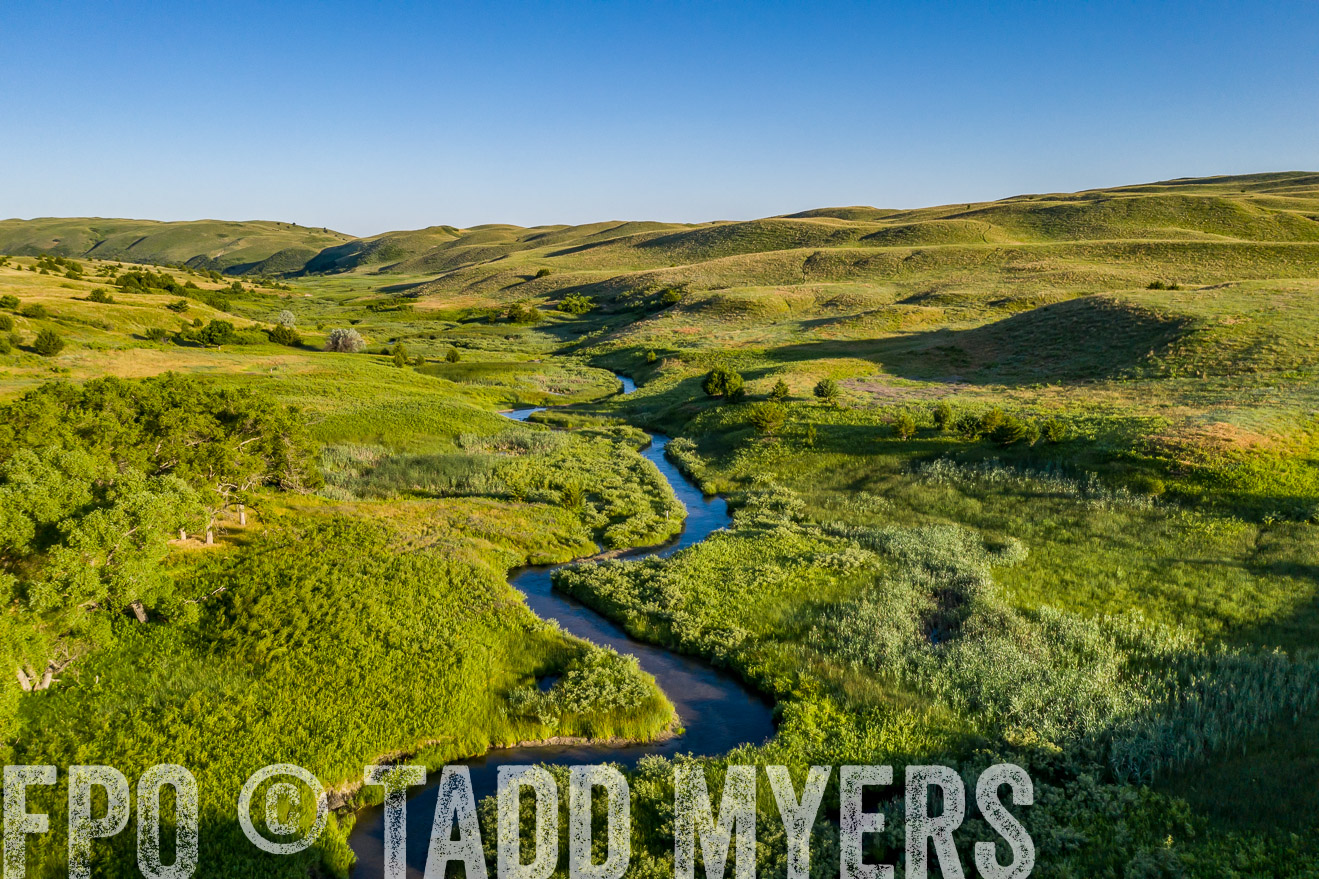 PP_TuckerRanch_NE_July2019-0610