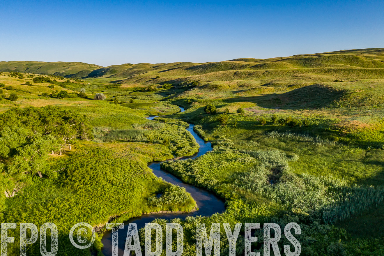 PP_TuckerRanch_NE_July2019-0613