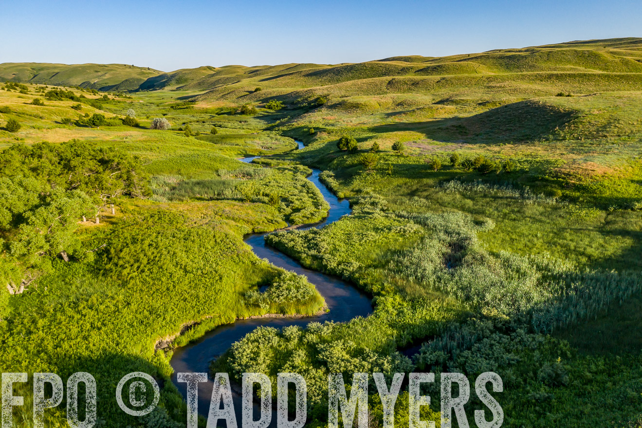 PP_TuckerRanch_NE_July2019-0616