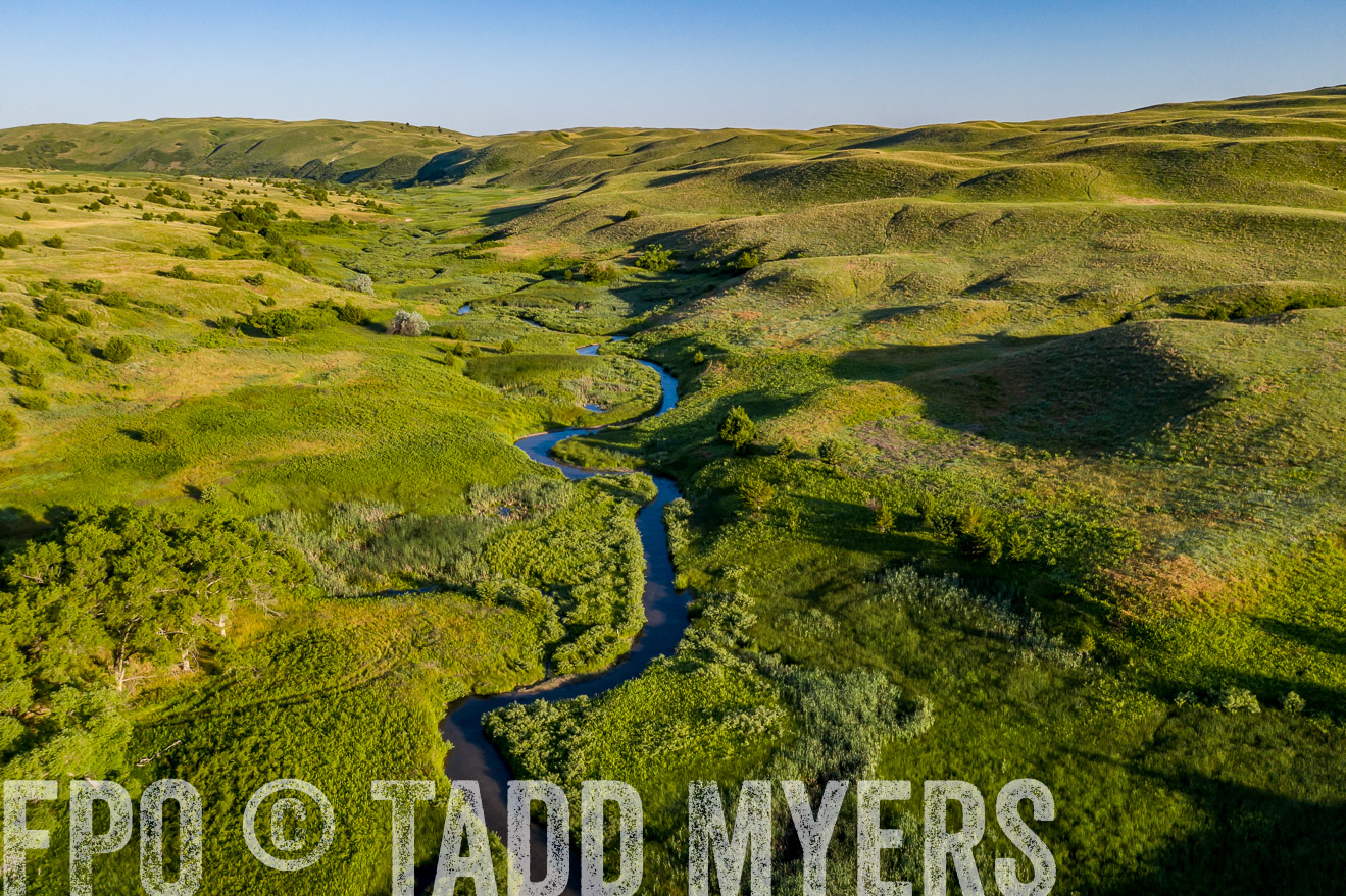 PP_TuckerRanch_NE_July2019-0628