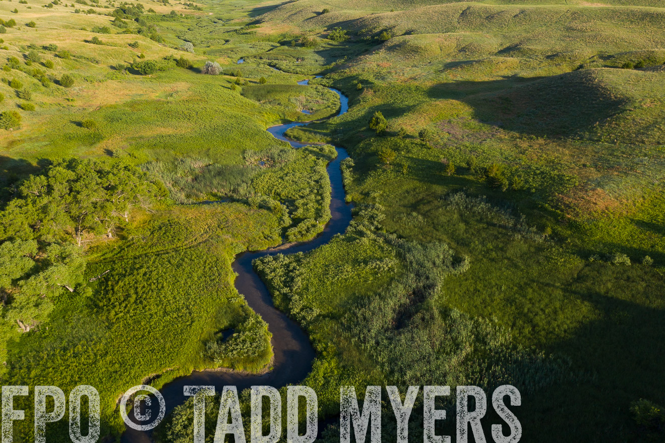 PP_TuckerRanch_NE_July2019-0629