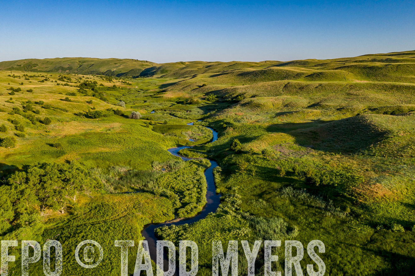 PP_TuckerRanch_NE_July2019-0634