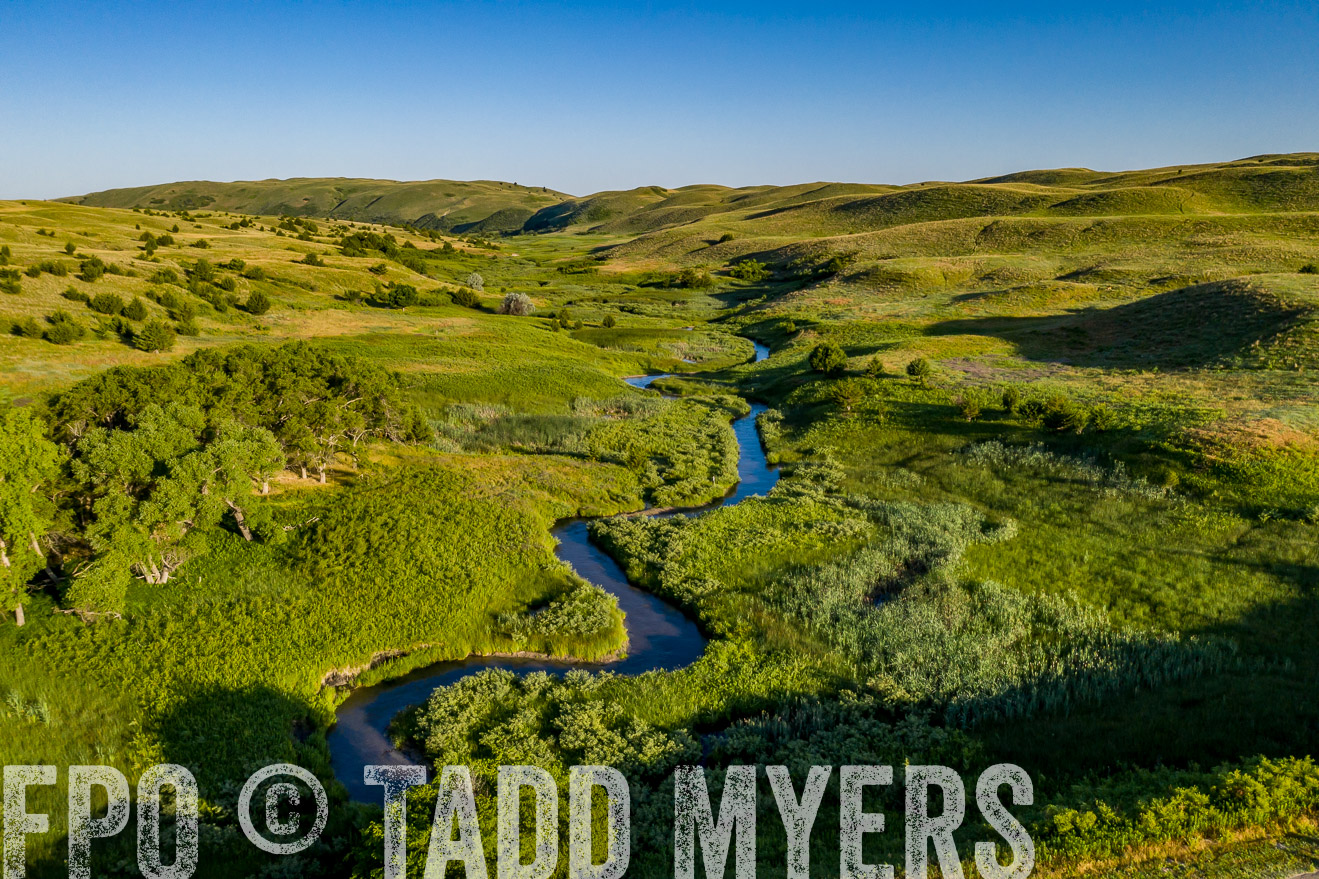 PP_TuckerRanch_NE_July2019-0637