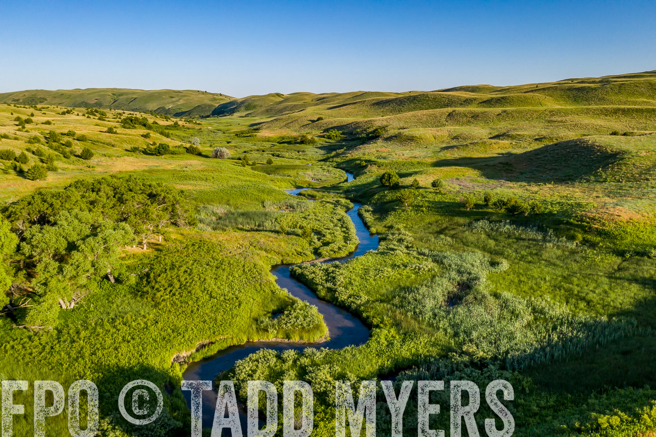 PP_TuckerRanch_NE_July2019-0646