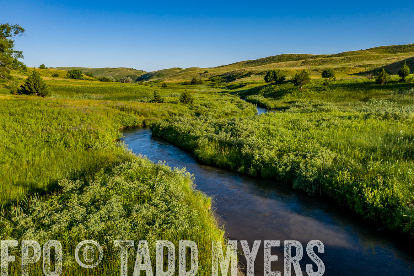 PP_TuckerRanch_NE_July2019-0652