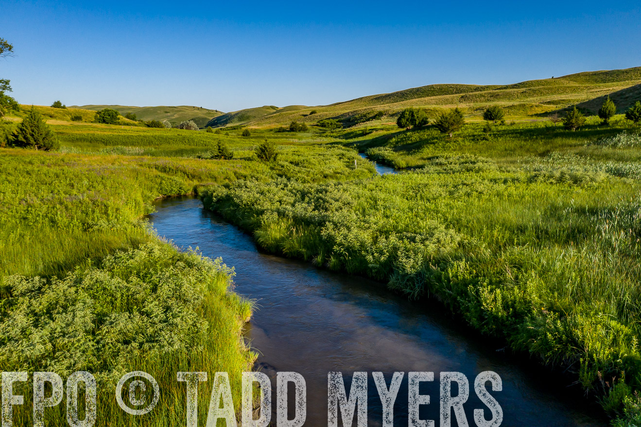 PP_TuckerRanch_NE_July2019-0655