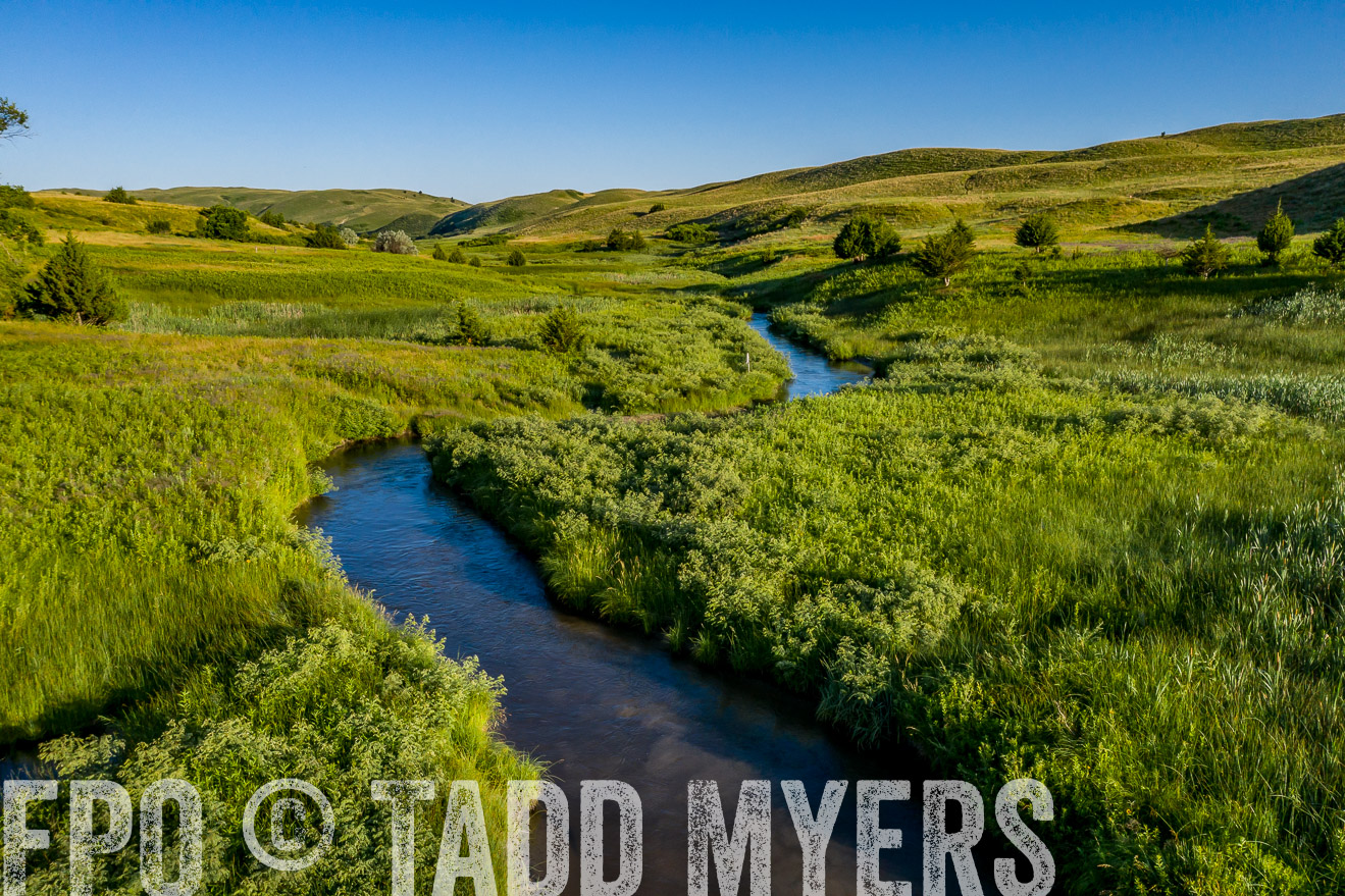 PP_TuckerRanch_NE_July2019-0658