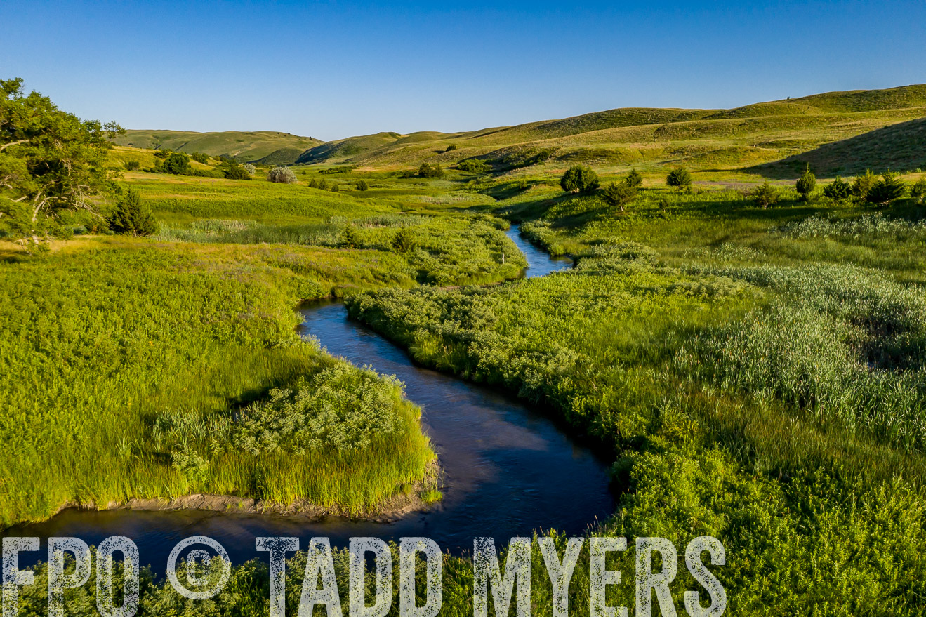 PP_TuckerRanch_NE_July2019-0661