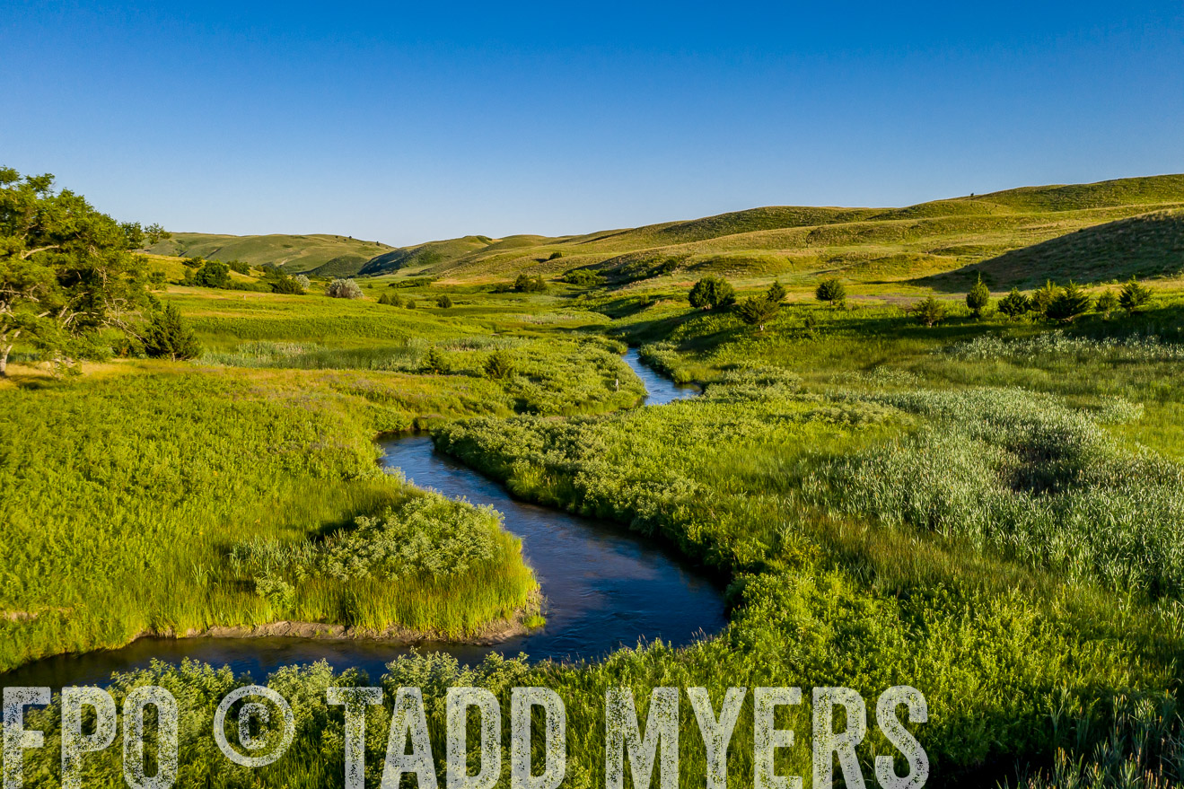 PP_TuckerRanch_NE_July2019-0667