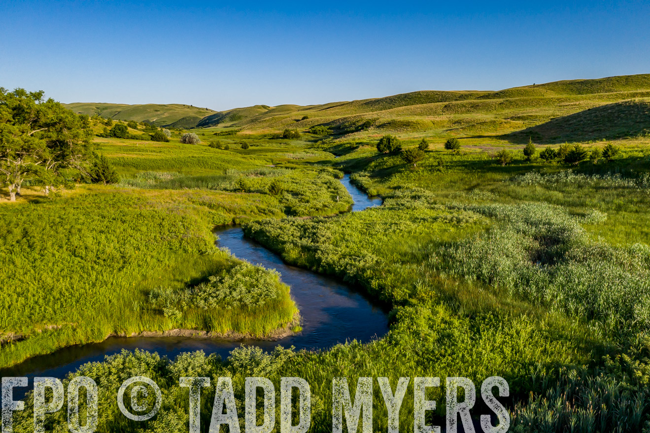 PP_TuckerRanch_NE_July2019-0673
