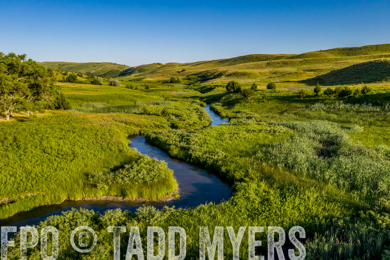 PP_TuckerRanch_NE_July2019-0676