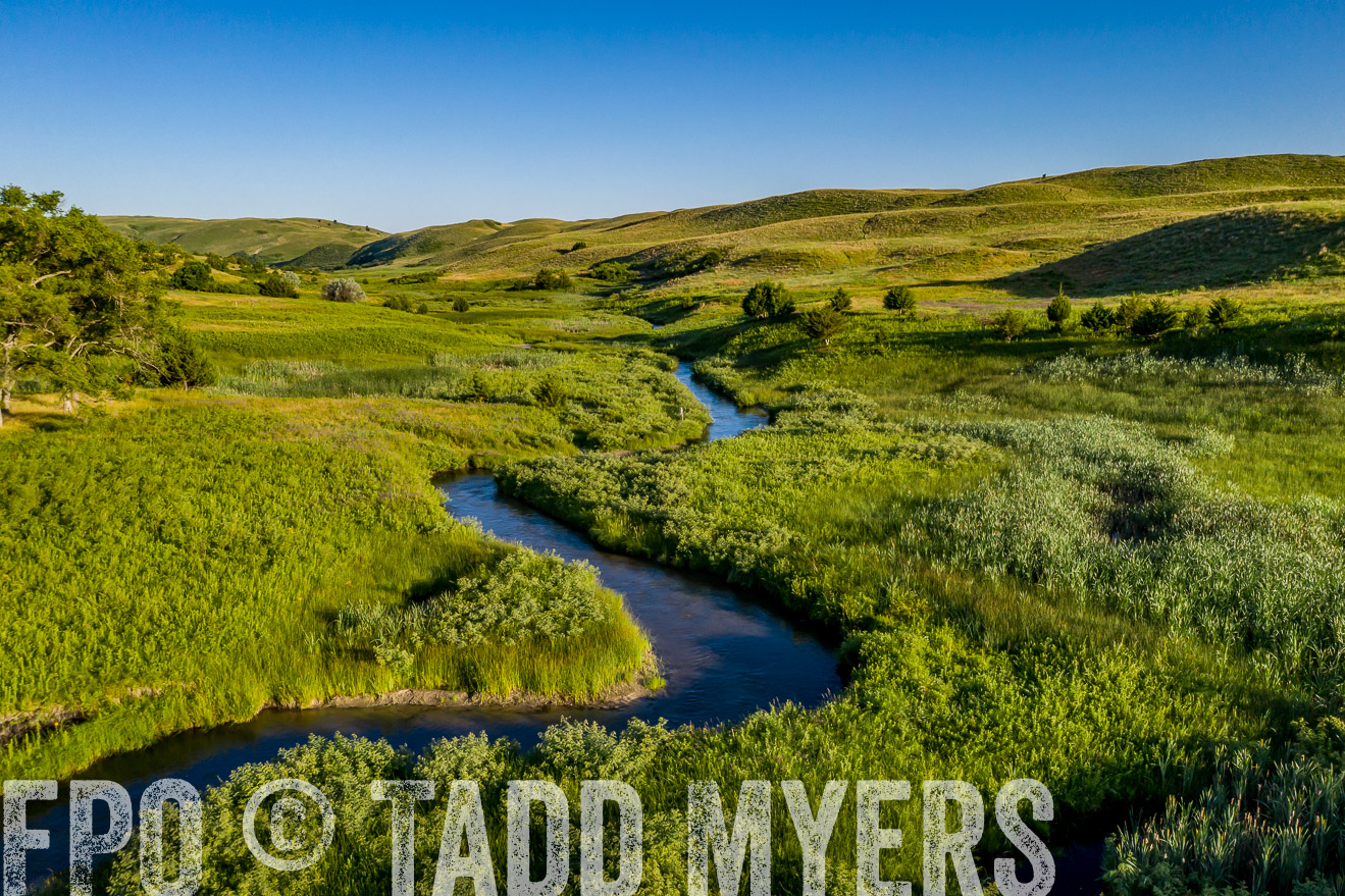 PP_TuckerRanch_NE_July2019-0679