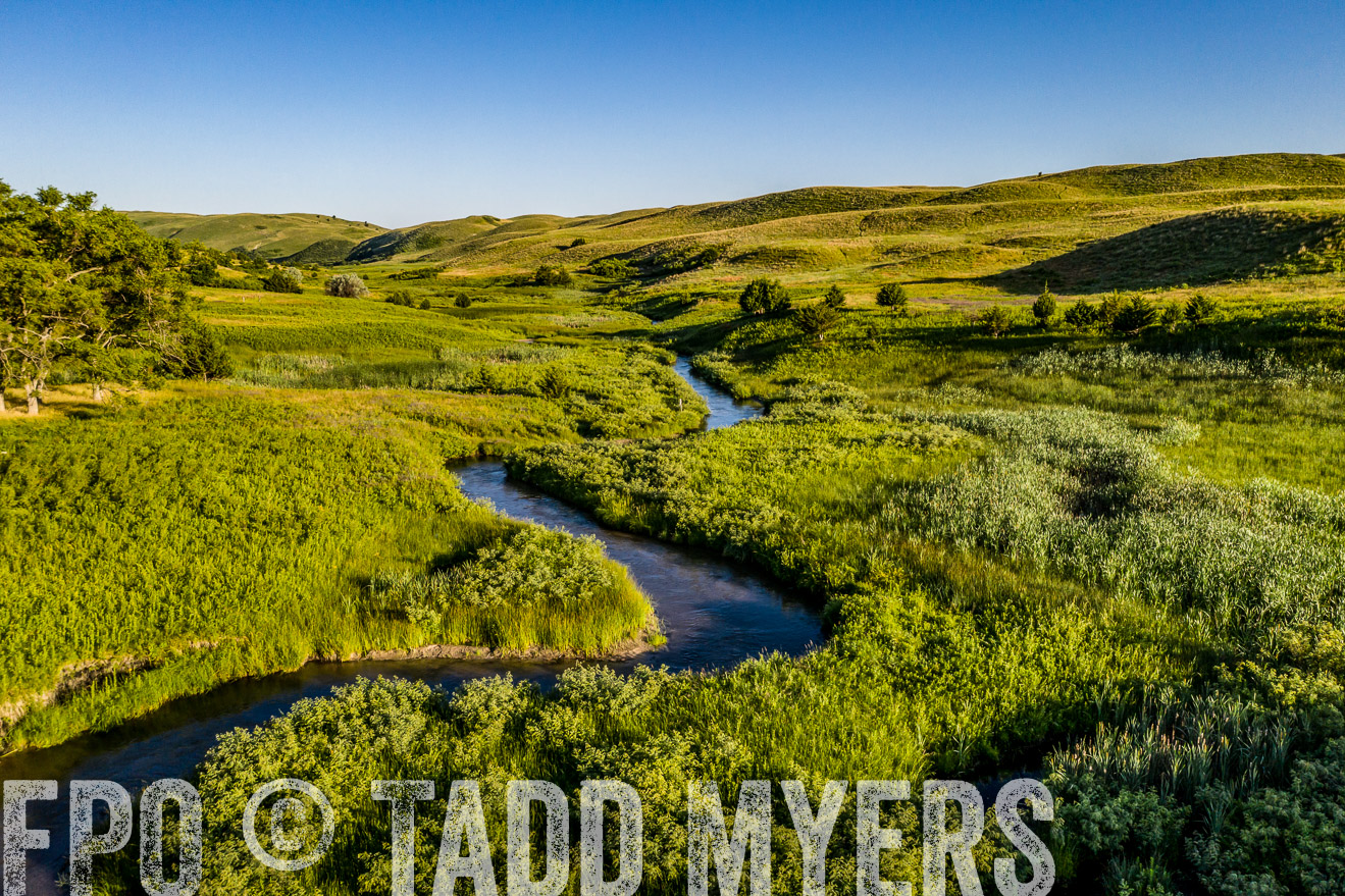 PP_TuckerRanch_NE_July2019-0682-1